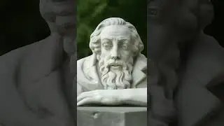 Сразу билеты обратно на родину??? #азия #fox_tm #мигранты