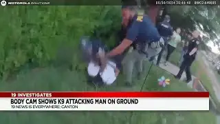Canton officer on leave after K9 bites suspect during arrest; Officers injured, pepper sprayed: V...