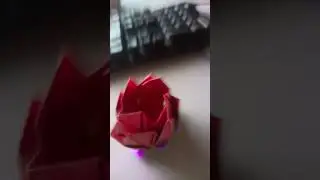 19 августа 2024 г.