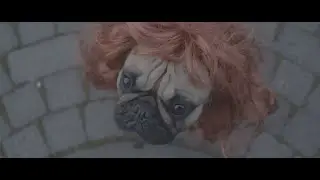 BSÍ - lily (hot dog) [official music video]