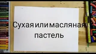 Что лучше сухая или масляная пастель🎨