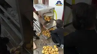 Potato Peeler Machine | Automatic Peeling Machine For Vagitable And Potato Peeling 