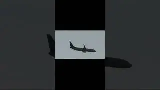 737 800