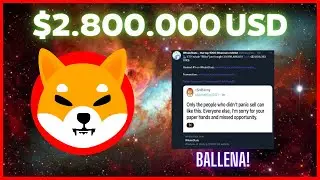 🚨 BALLENA de SHIBA INU 🚨 COMPRA $2.800.000 USD 🔥 ANTES DE LA SUBIDA???🚨 RALLY ALCISTA!!!