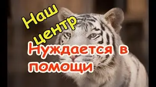 Необходима ваша помощь!!!