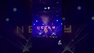 nesly en concert a bras panon