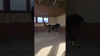 А почему бы не подурачиться? 