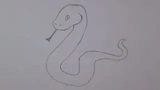 Como desenhar uma cobra