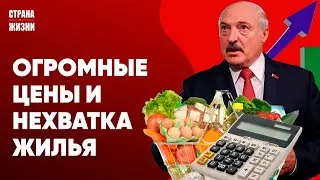 ЦЕНЫ ПРОБИВАЮТ ПОТОЛОК И НАПЛЫВ РОССИЯН. Очереди на границе бьют рекорды. Посол Лукашенко на ковре