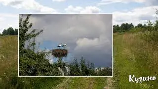 Студия Вовка представляет. Кузино.