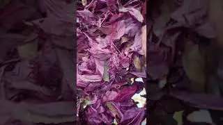 АМАРАНТ на чай для Клиента