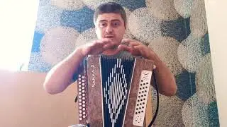 Шуйская гармонь Чайка 2