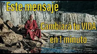 Alimenta tu buena energía en 1 minuto. La batalla de 2 lobos.
