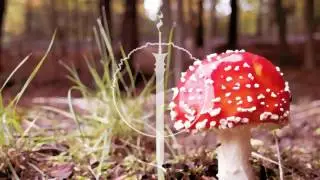 AudioBlade - When Leaves Fall