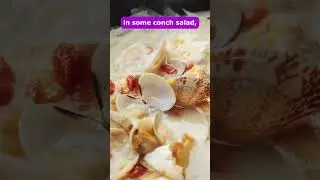 Top Bahamian Food Delights to try in 2024 #travelvlog #travel #bahamas #vacation #usa