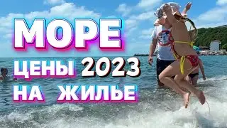 МОРЕ 2023 / ЦЕНЫ НА ЖИЛЬЕ / САД СПУСТЯ 10 ЛЕТ / ВЛОГ