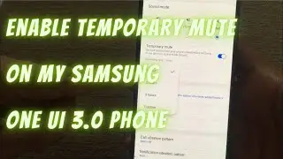 Samsung One UI 3.0 : Enable Temporary Mute on my Samsung Galaxy One UI 3.0 Phone.