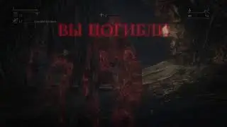 Продолжаем bloodborne