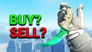Where is the CS2 Market Now? (FULL OVERVIEW)