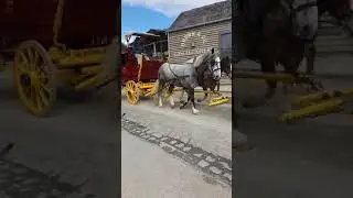 Horse carriage