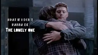 The Lonely One | Sam & Dean