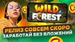 Wild Forest 🔥Зарабатывайте без вложений! А так же о профессии  аналитика данных☝️