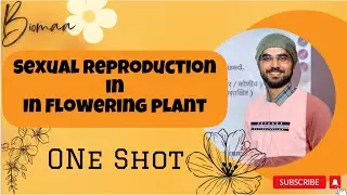 Sexual reproduction in flowering plants I class 12th NCERT