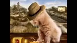 Шок! Кот закинулся снюсом, Кота жмыхнуло и он стал махавчанином!