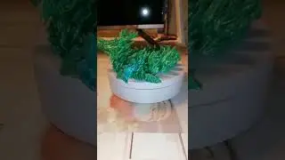 Дракон Лесной дух