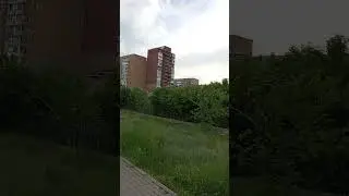 А одуванчик улетел!?