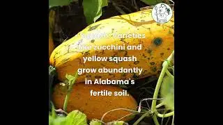 Alabama Gardening Delights: The Best Fruits and Veggies to Grow in Alabama's Climate and Soil