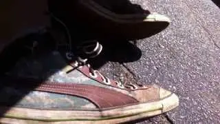 IMG 0270