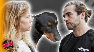 Hund statt Kind? Krise bei Jule und Marc! 🤔😱  | Köln 50667 