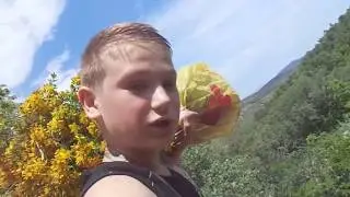 VLOG.Необычный поход за зверобоем.
