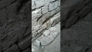 6 августа 2024 г.