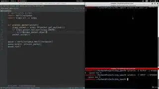 Курсы по программированию на python | Часть 50 | Анализируем DNS ответы
