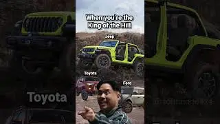 King of the Hill 