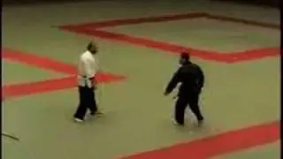 Grandmaster Beluschak's Pusan Demonstration 1998