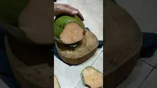 ASMR peeling coconut