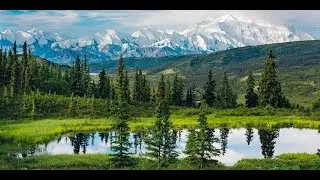 Самая выгодная сделка Америки, как Россия продала Аляску