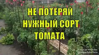 КАК ПОДПИСАТЬ СОРТА ТОМАТОВ И ПЕРЦЕВ! КАК НЕ ПОТЕРЯТЬ НУЖНЫЙ СОРТ! ПОДПИСЫВАЕМ РАССАДУ ПОМИДОР!