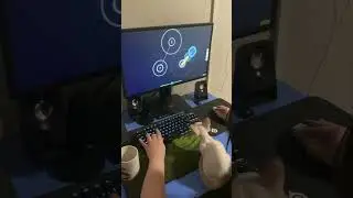 osu!cat helper
