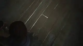 Survivor challenge last of us part 2 ellies part