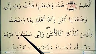 Quran for Beginners Lesson 138 - Surah Ali 'Imran (ayahs 36-37)