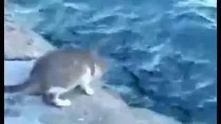 Рыбачка- СОНЯ!!!!!!!!!!!!!