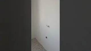 рубрика( 1 день мастера )