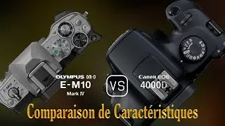 Olympus OM-D E-M10 Mark IV vs. Canon EOS 4000D: Une Comparaison de Caractéristiques