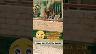 Rumah Warga sampang Madura Kebakaran 