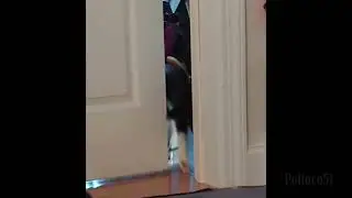 I Got to Get Out of Here!