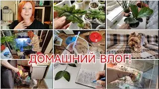 СОСТАВИЛА СПИСОК ДЕЛ / УБОРКА АКВАРИУМА / ПРО ШКОЛУ / ПОКУПКИ / КУЧА ДОМАШНИХ ДЕЛ..../